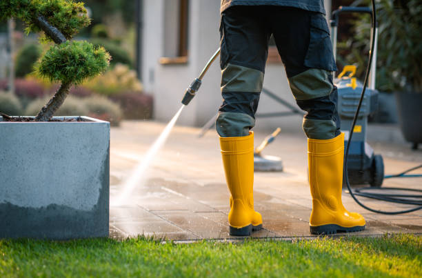 Best Gutter Cleaning in Gridley, CA